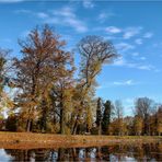 Herbst im Park (5)