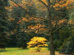 Herbst im Park... (5)