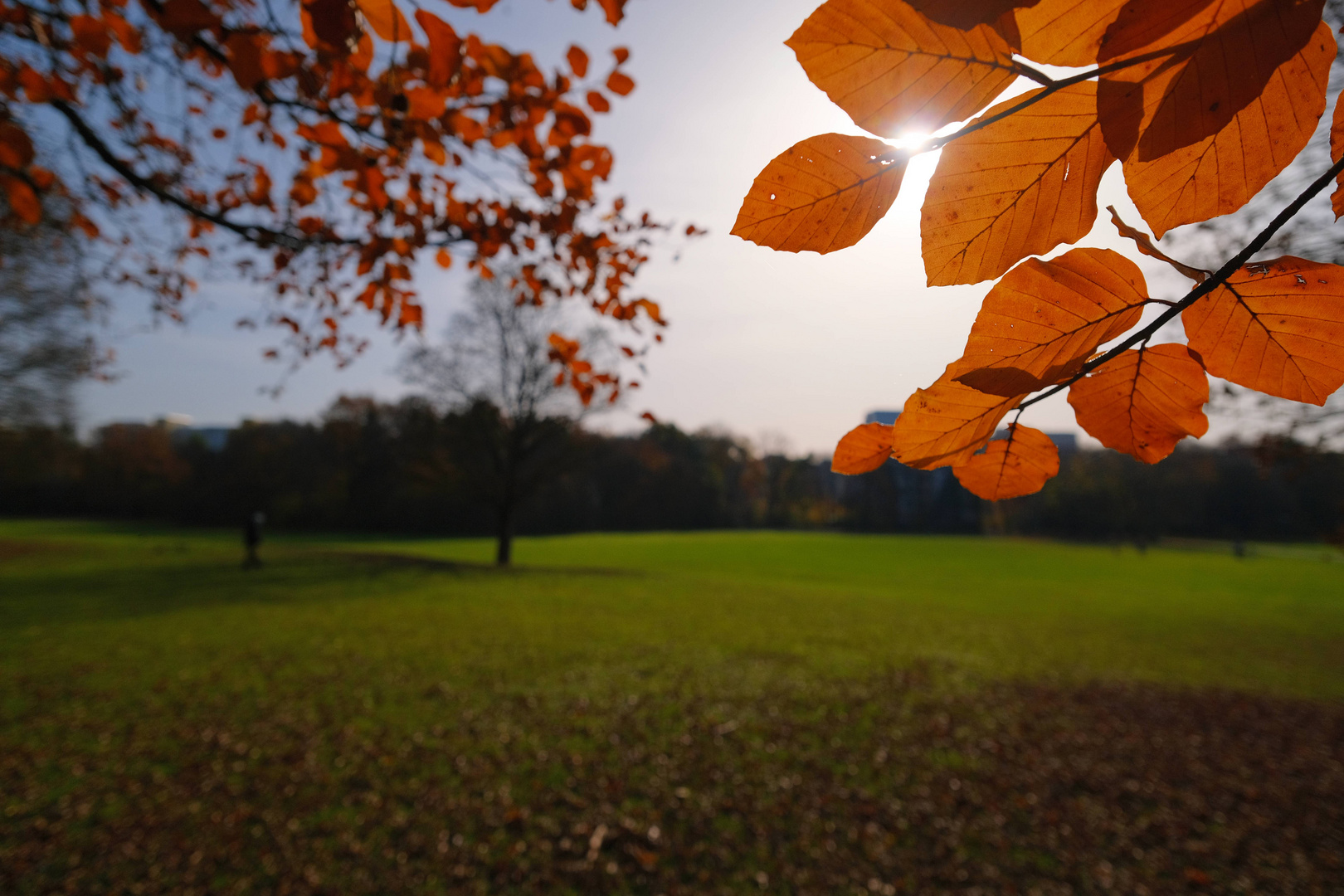 Herbst im Park