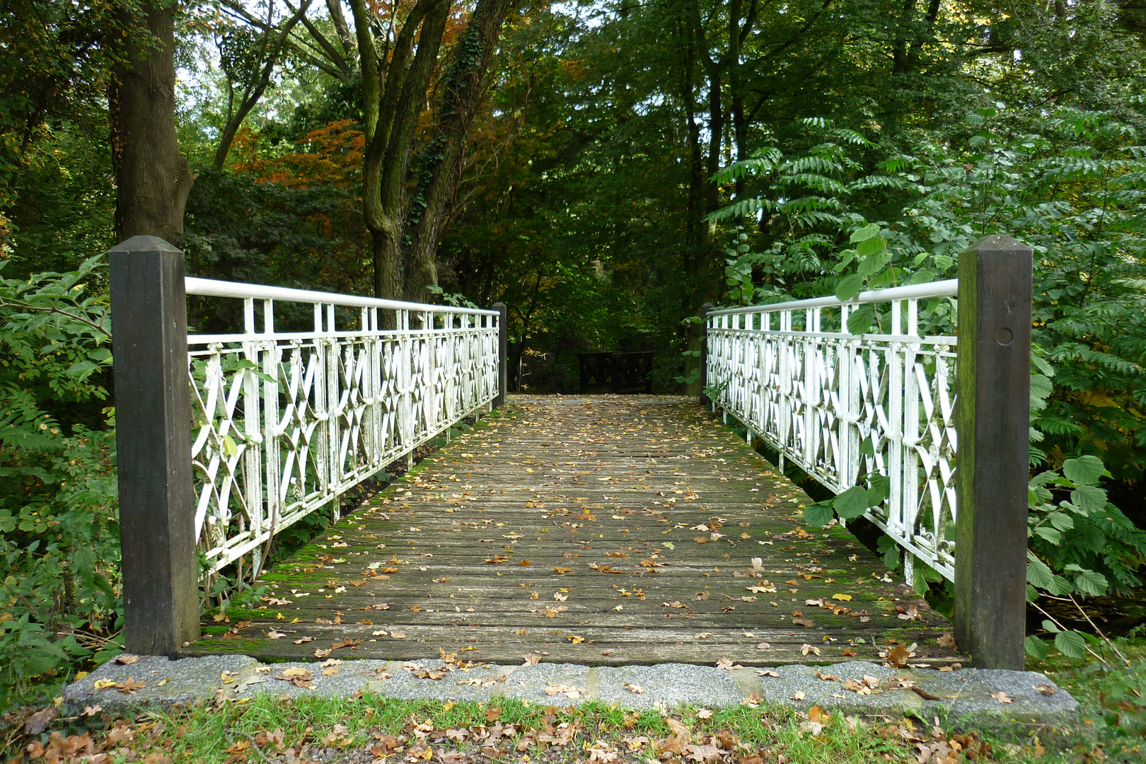 Herbst im Park