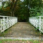 Herbst im Park