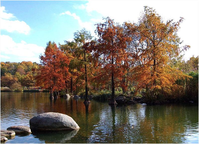 Herbst im Park.