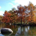 Herbst im Park.