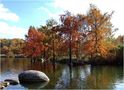 DE: Herbst im Park. by  Gerald Schreiber