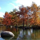 Herbst im Park.