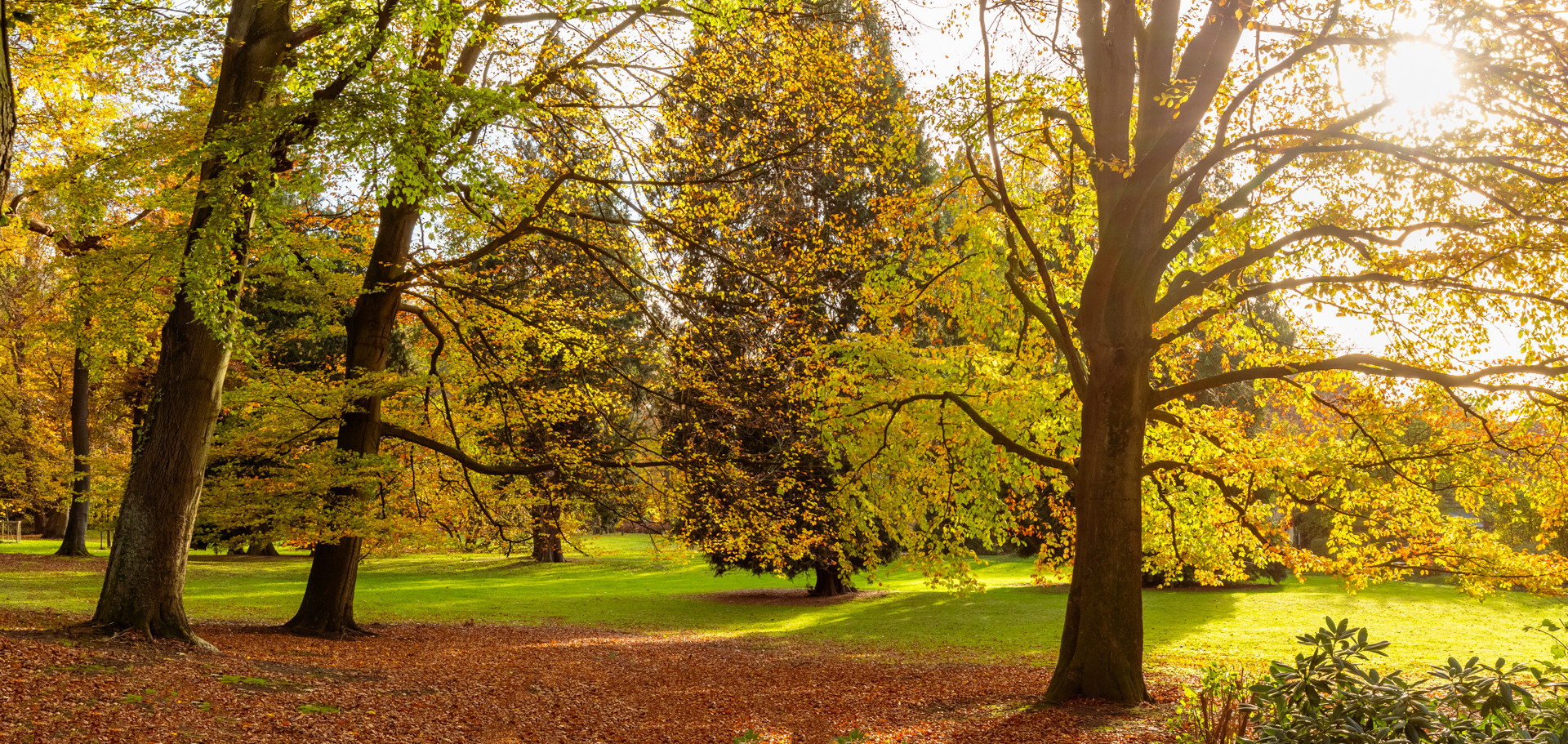 Herbst im Park