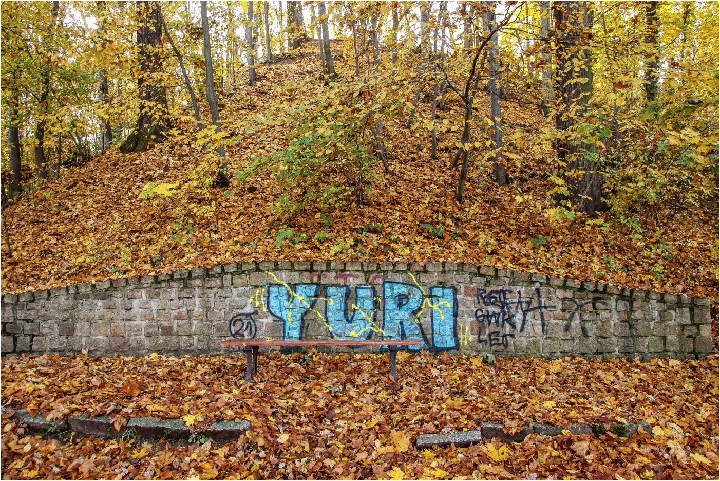 Herbst im Park (6)