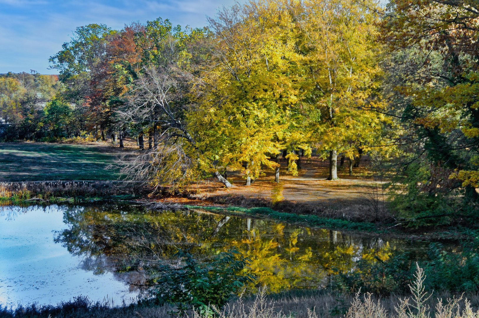 Herbst im Park