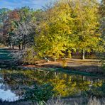 Herbst im Park