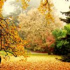 Herbst im Park