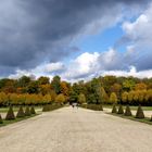 Herbst im Park