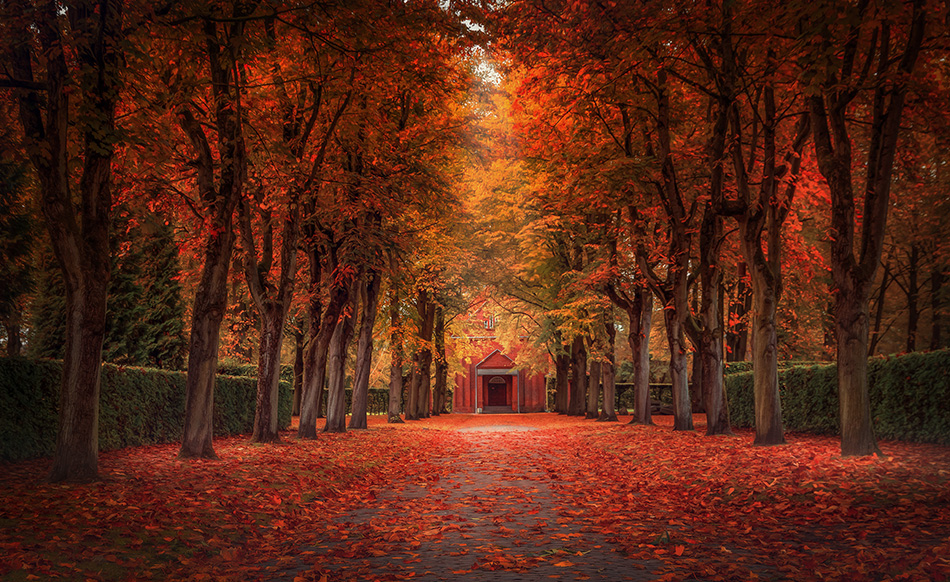 Herbst im Park