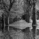 Herbst im Park