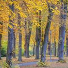 Herbst im Park