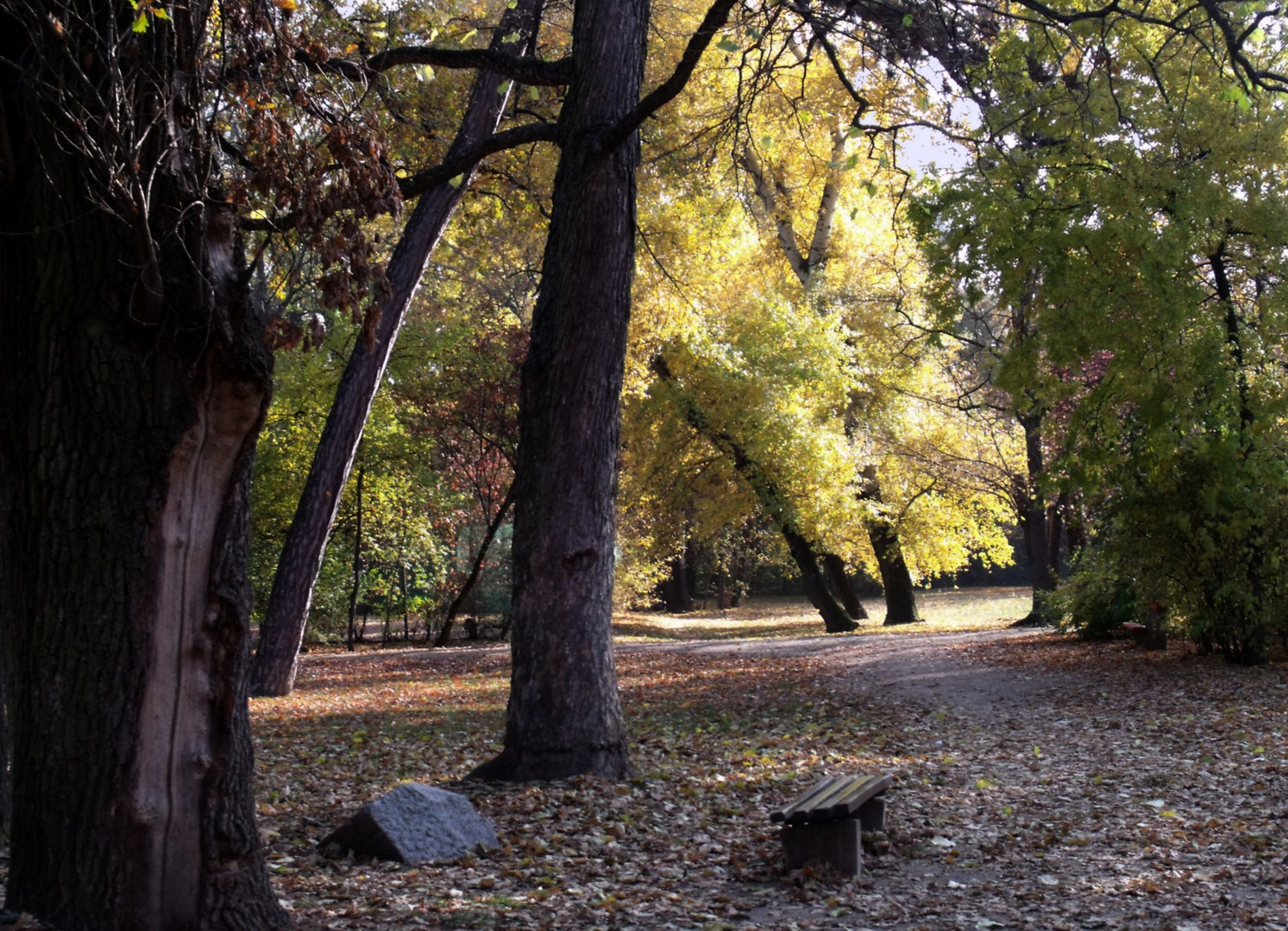 Herbst im Park