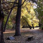 Herbst im Park