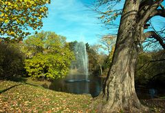 herbst im park