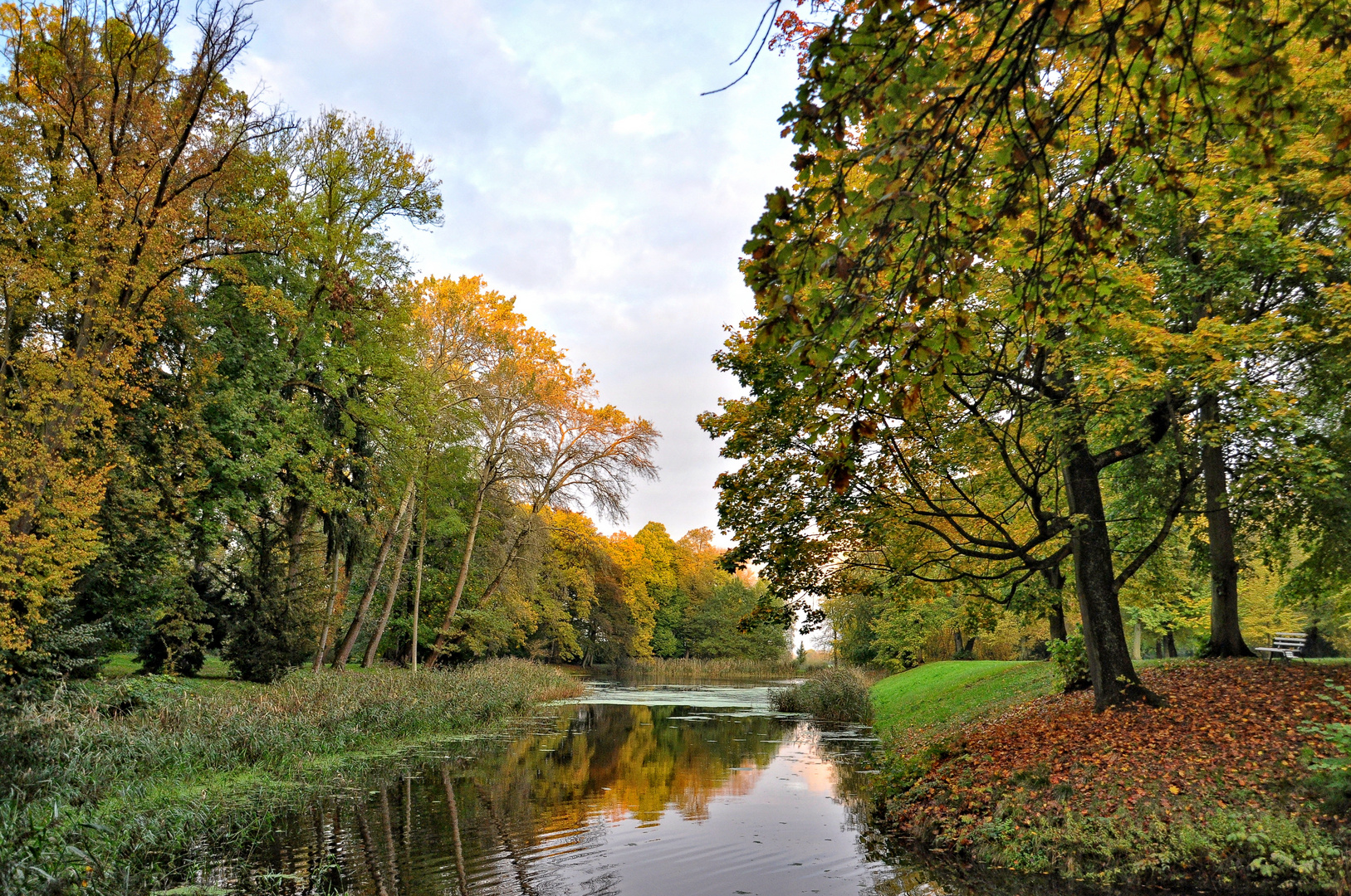 Herbst im Park