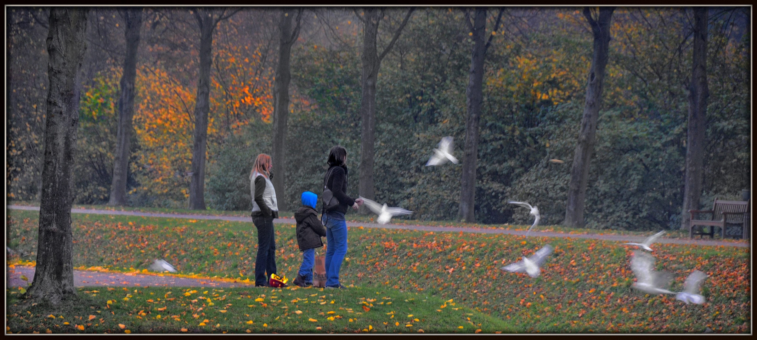 Herbst im Park