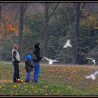 Herbst im Park