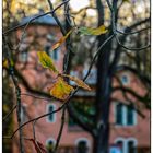 Herbst im Park