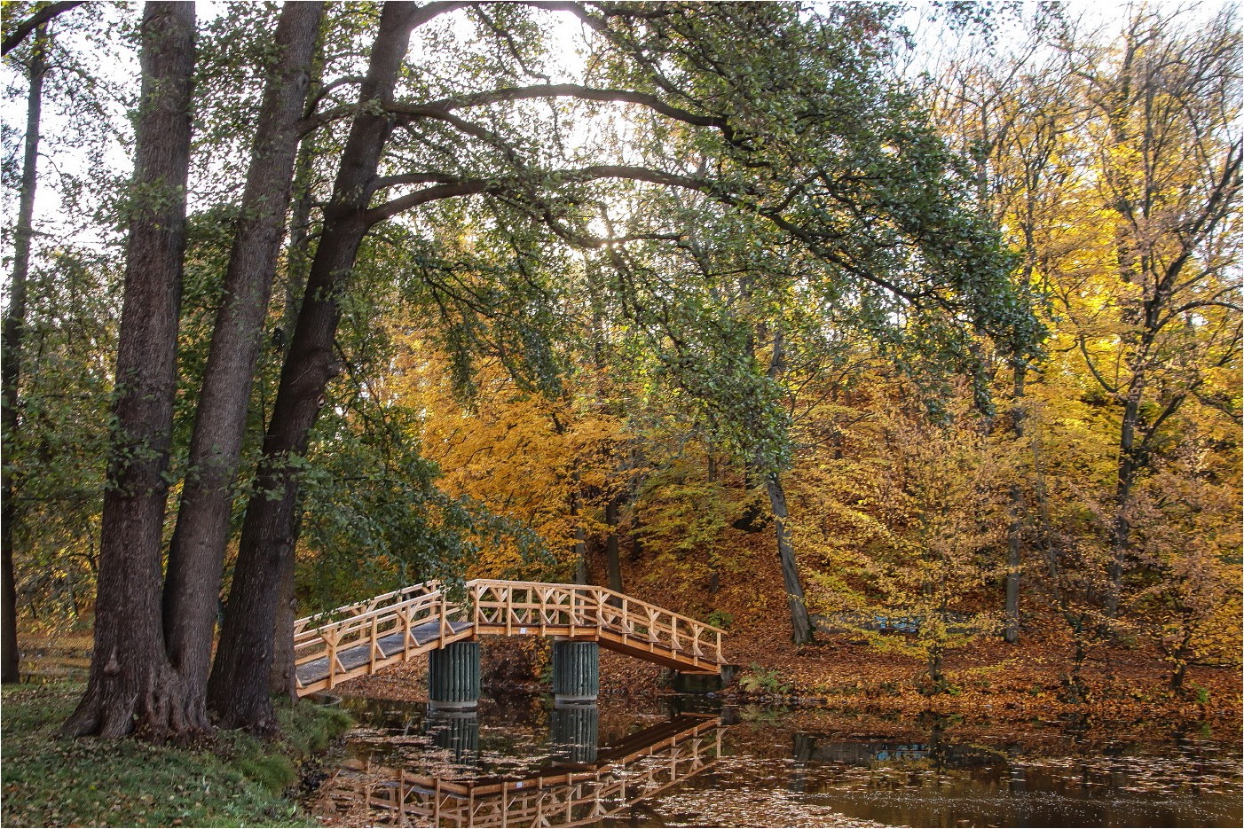 Herbst im Park  (7)