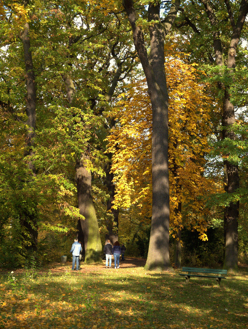 Herbst im Park