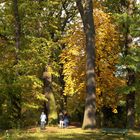 Herbst im Park