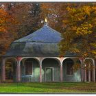 Herbst im Park