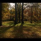 Herbst im Park 