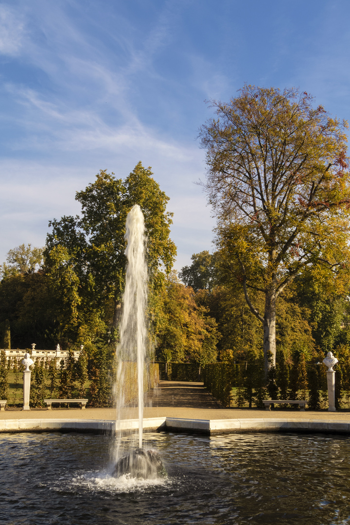 Herbst im Park