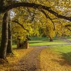 Herbst im Park