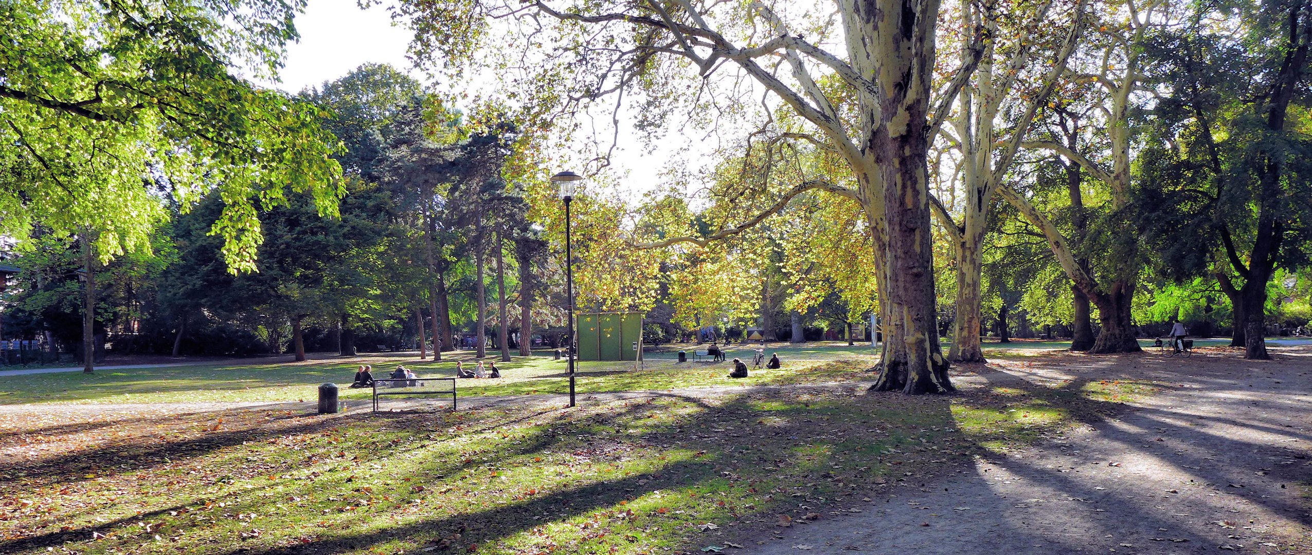 Herbst im Park