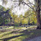 Herbst im Park