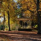 Herbst im Park