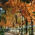 Herbst im Park