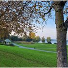 Herbst im Park