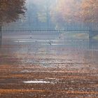 Herbst im Park