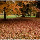 Herbst im Park