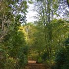 Herbst im Park