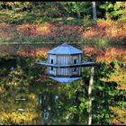 Herbst im Park