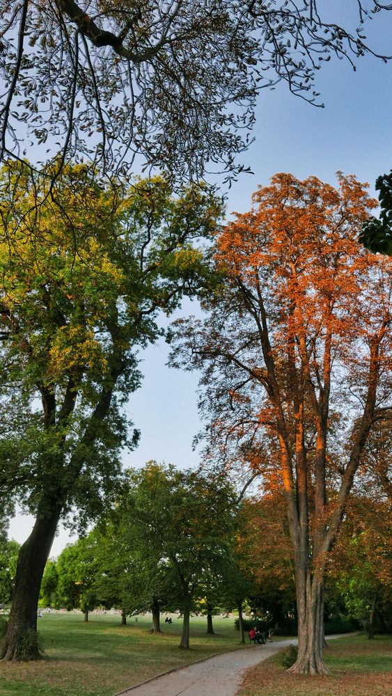 Herbst im Park