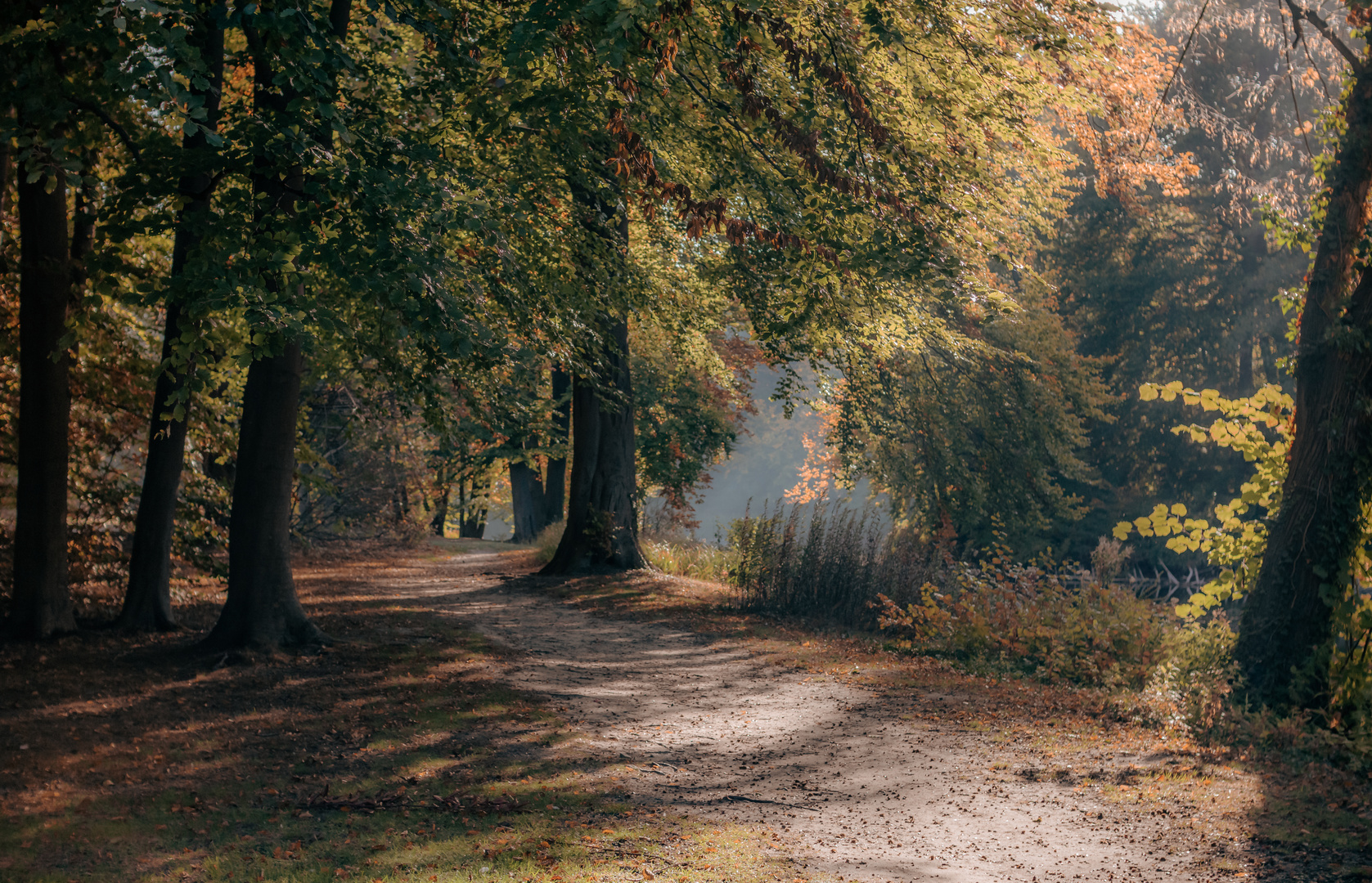 Herbst im Park