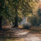 Herbst im Park