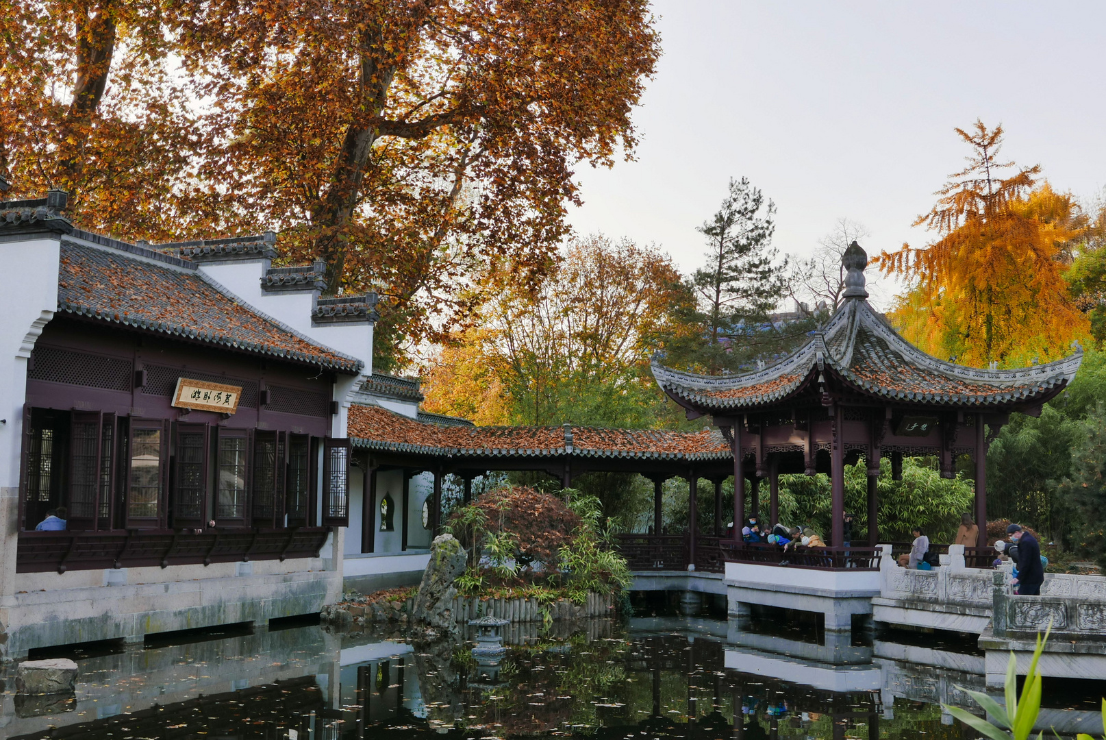 Herbst im Park