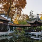 Herbst im Park