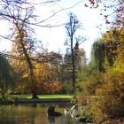 Herbst im Park