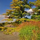 Herbst im Park.....