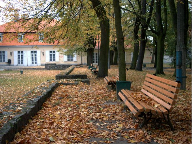 Herbst im Park