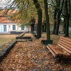 Herbst im Park